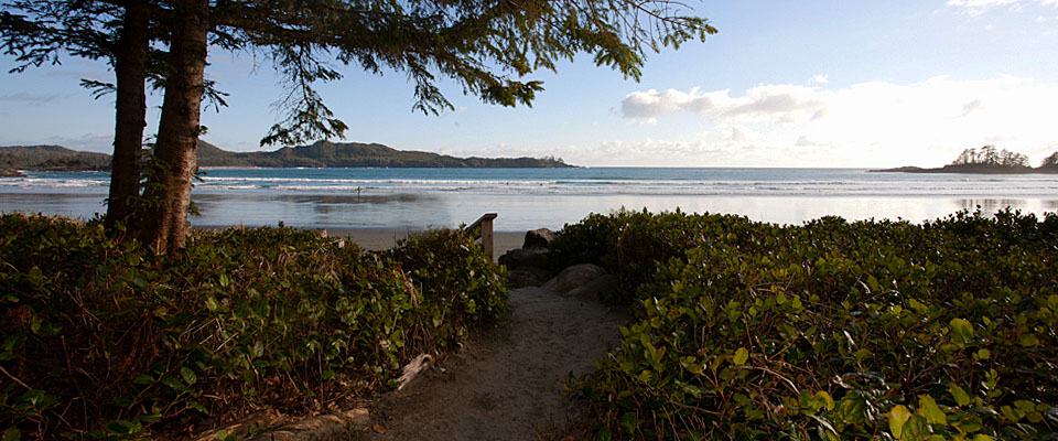 Stay on the beach in our deluxe oceanfront Tofino Accommodation - Tofino Accommodation