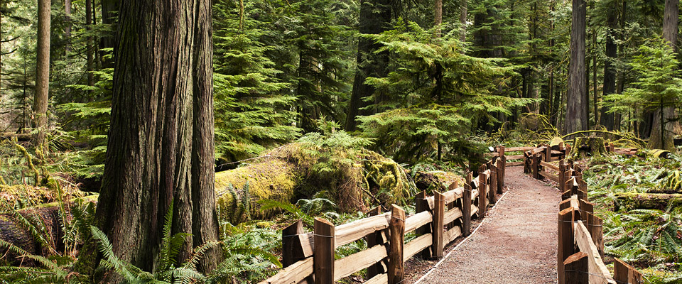 Hiking - Tofino Accommodation