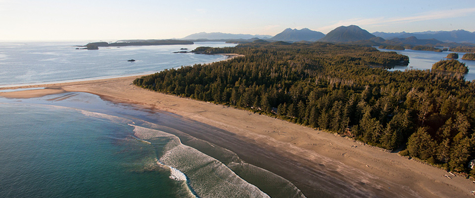 Where the Rainforest Meets the Sea - Tofino Accommodation